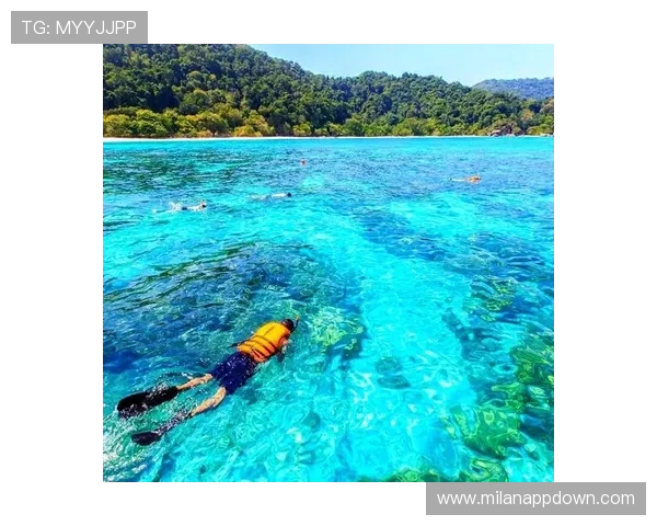 斯米兰跟团游：探索泰国最美潜水胜地的完美行程安排