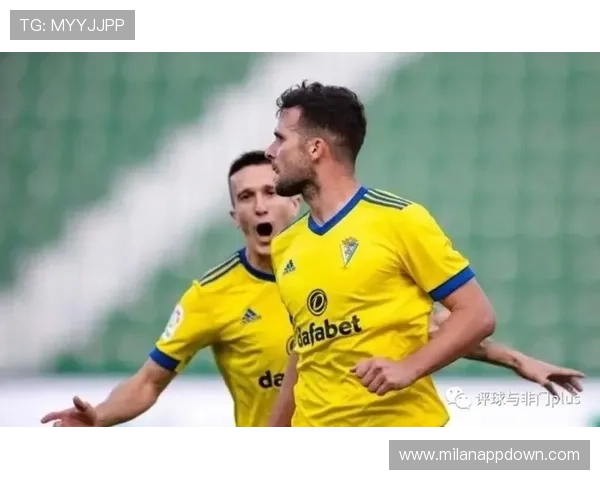 确保账号安全的米兰体育app登录入口使用技巧