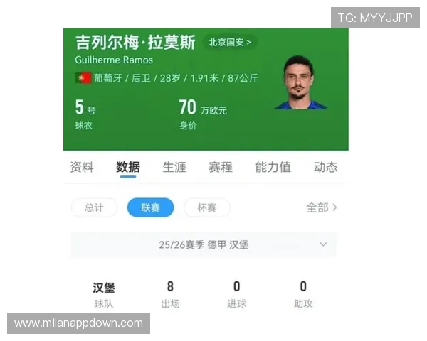 米兰体育国际站：深入报道国际体育赛事背后的故事与精彩瞬间