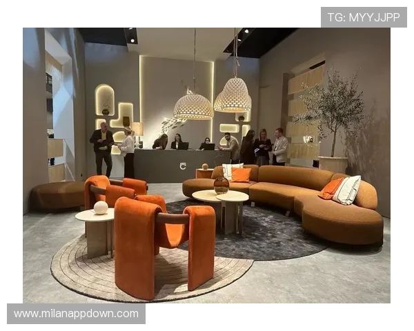 米兰国际软装官网：米兰国际软装官网上的客户评价与合作伙伴的真实反馈